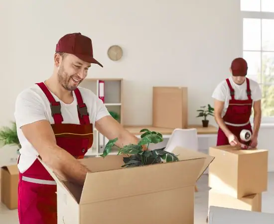 Packing and Unpacking Services